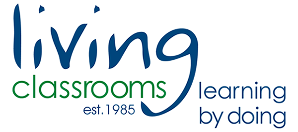 Living Classroom Image